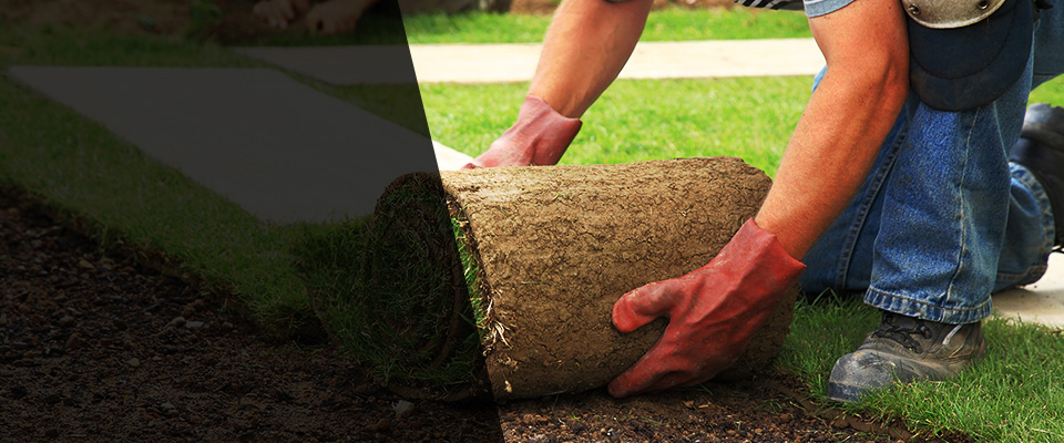 Eagle Lake Landscapers